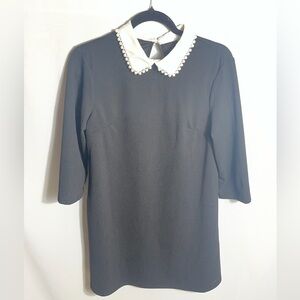 Black Pearl Collar Dress Women’s L Peter Pan Collar Stretch Midi